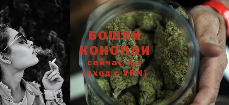 Конопля Bruce Banner  купить  цена  Камышин 